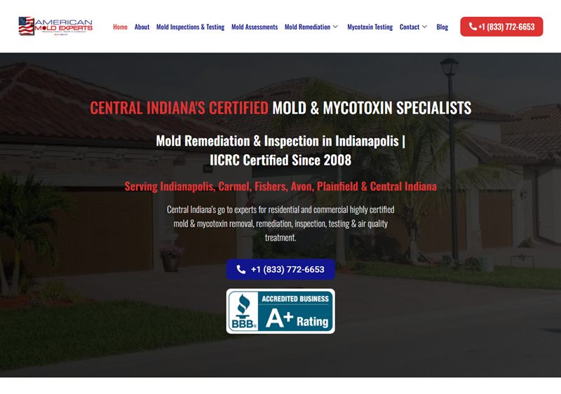 American Mold Experts website, built and managed by Twin Shores Marketing
